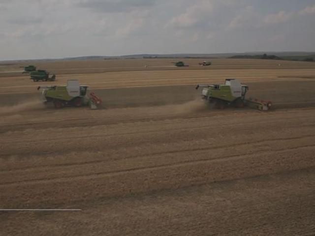 Пищевой безопасности в Украине ничего не угрожает, — аграрии Пищевой безопасности в Украине ничего не угрожает, — аграрии