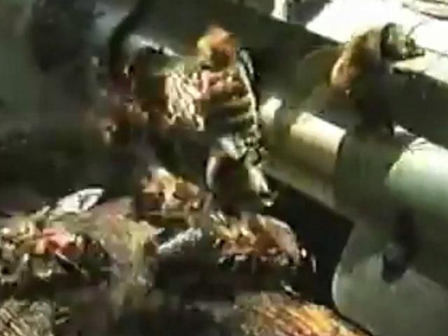 Зроблено в Україні: українець Петро Прокопович винайшов сучасний рамковий вулик Зроблено в Україні: українець Петро Прокопович винайшов сучасний рамковий вулик