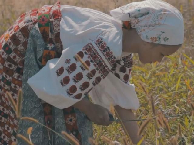 История достоинства. Века бесправия и рабский труд украинского крестьянства История достоинства. Века бесправия и рабский труд украинского крестьянства