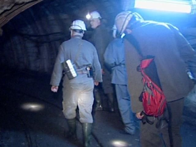 Из-за нехватки угля Украина будет импортировать его из России Из-за нехватки угля Украина будет импортировать его из России