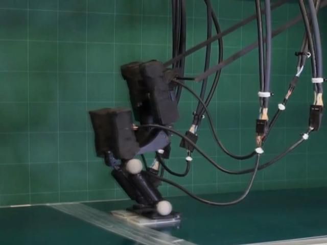 Ученые сконструировали самого быстрого двуногого работа (Видео) Ученые сконструировали самого быстрого двуногого работа (Видео)