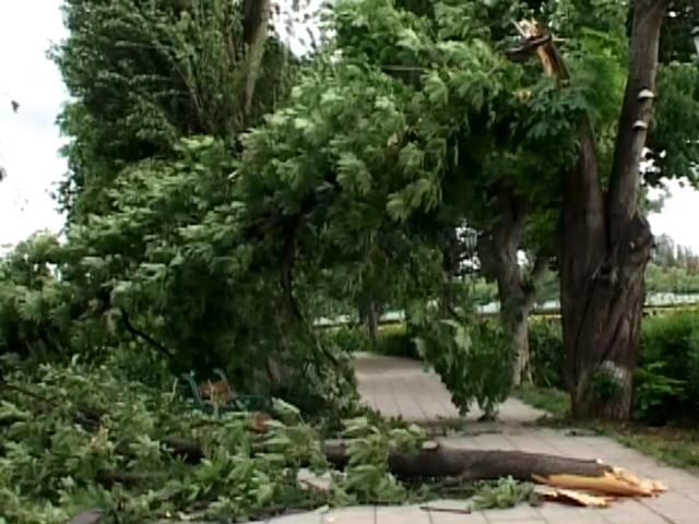 В Украине из-за погоды почти 250 населенных пунктов обесточены В Украине из-за погоды почти 250 населенных пунктов обесточены