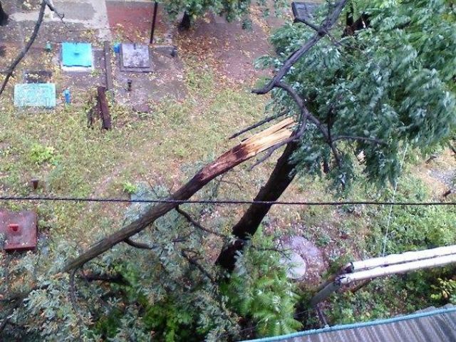 Ураган в Донецке: поломанные деревья и разбитые авто (Фото)