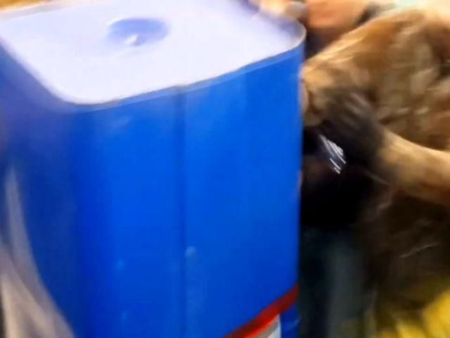 Народна люстрація триває. В Черкасах до сміттєвих контейнерів кинули 2 депутатів Народна люстрація триває. В Черкасах до сміттєвих контейнерів кинули 2 депутатів