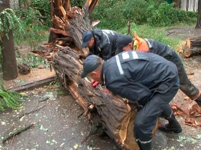 В результате стихии погиб человек, — ГСЧС В результате стихии погиб человек, — ГСЧС