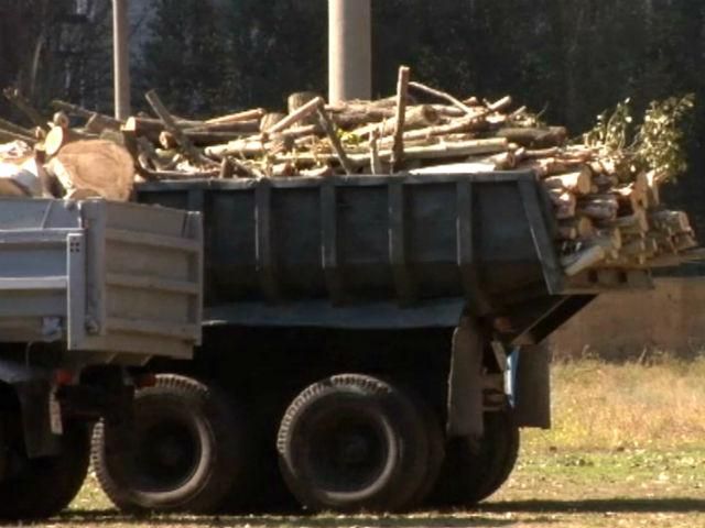 В Запорожье сломанные ураганом деревья превратили в топливо для обогрева полигона