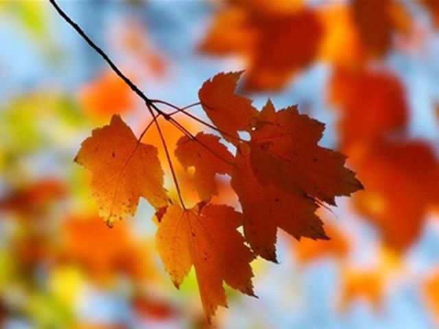 Прогноз погоды на 2 октября Прогноз погоды на 2 октября