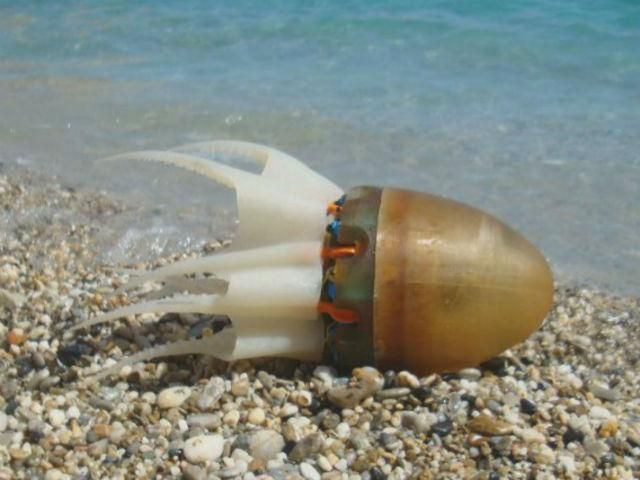 Науковці розробили робота-восьминога Науковці розробили робота-восьминога