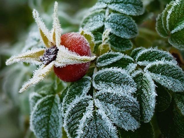 Прогноз погоды в Украине на 3 октября Прогноз погоды в Украине на 3 октября