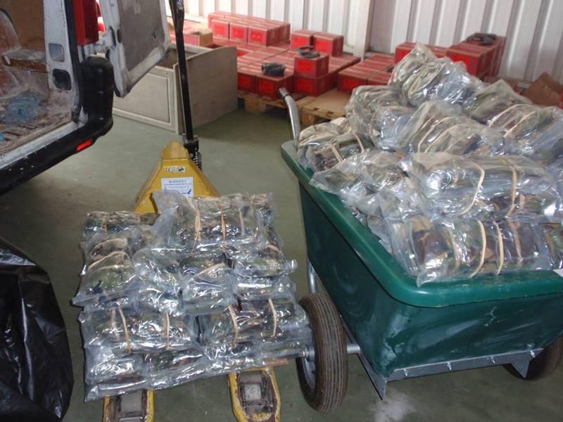 Українці Португалії відправили в зону АТО автобус з гумдопомогою (Фото. Відео) Українці Португалії відправили в зону АТО автобус з гумдопомогою (Фото. Відео)