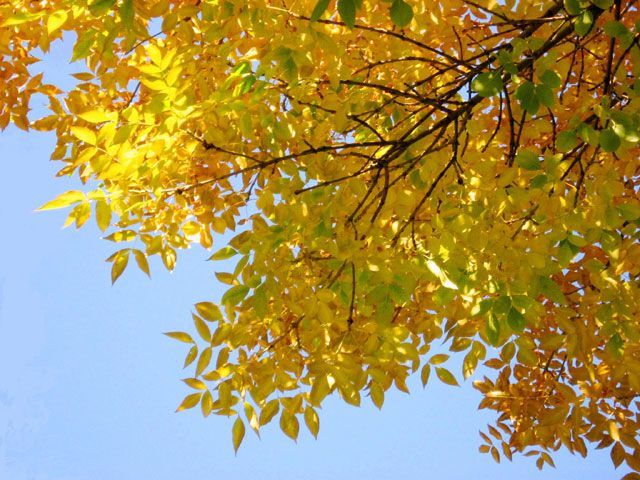 Погода на сегодня: прохладно и без осадков Погода на сегодня: прохладно и без осадков