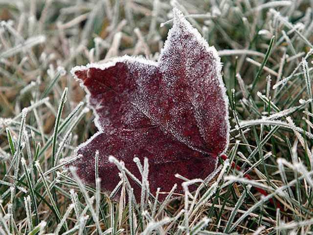7 октября в Украине удержатся заморозки 7 октября в Украине удержатся заморозки