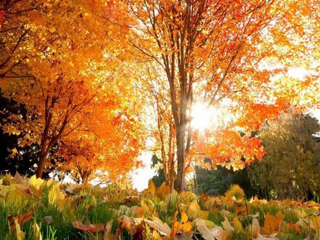 На выходных в Украине будет тепло и облачно На выходных в Украине будет тепло и облачно