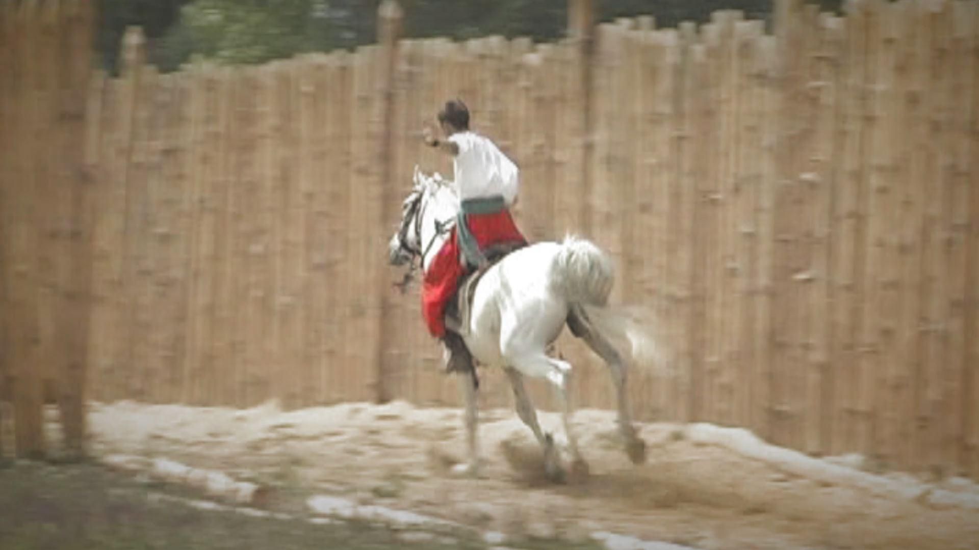 Территория непокоренных. Хортица - сердце украинского казачества Территория непокоренных. Хортица - сердце украинского казачества