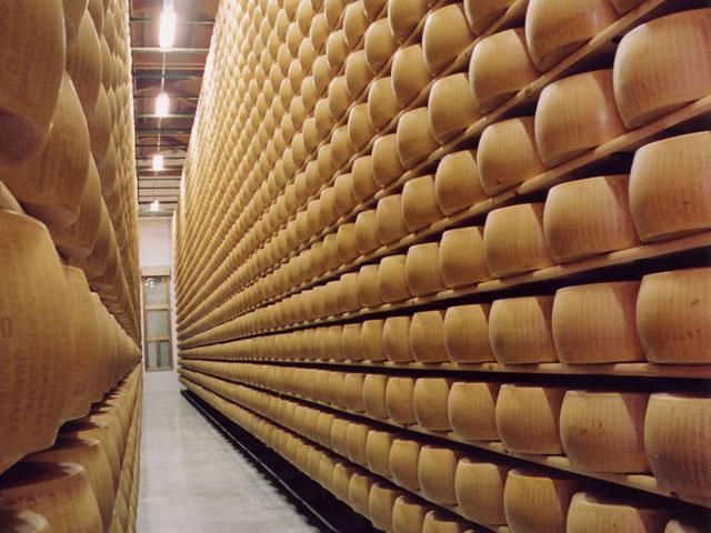 РФ повністю відмовилася від українського сиру РФ повністю відмовилася від українського сиру