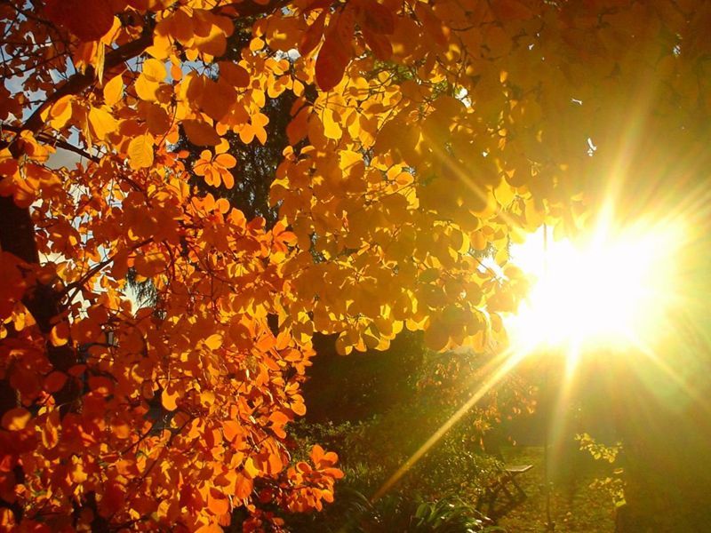 Сегодня в Украине до +26 градусов Сегодня в Украине до +26 градусов