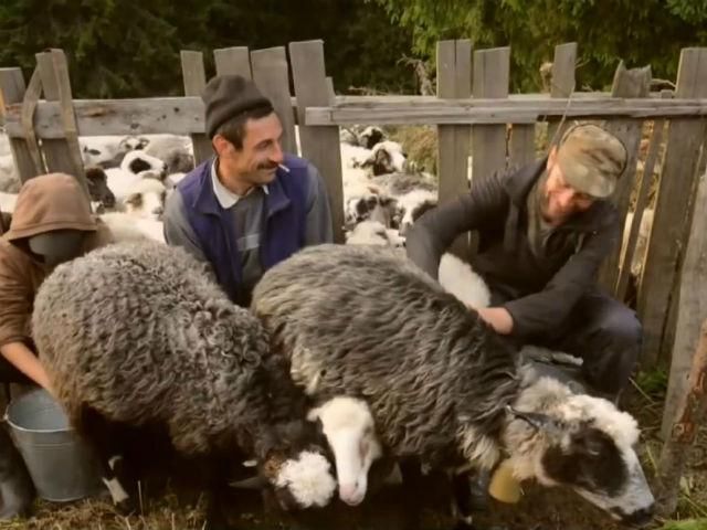 Путешествие по Украине. Закарпатье — край, где знают, как развлечь путешественников Путешествие по Украине. Закарпатье — край, где знают, как развлечь путешественников