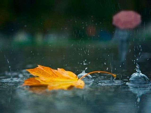 Сьогодні в Україні почнуться дощі Сьогодні в Україні почнуться дощі