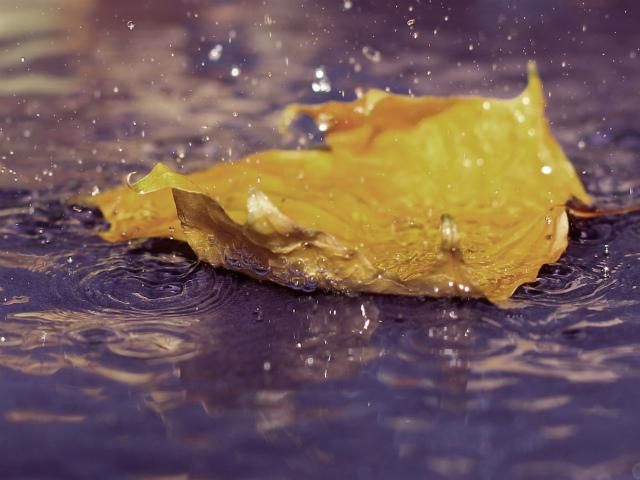 Сьогодні в Україні дощі і температура до +22 Сьогодні в Україні дощі і температура до +22