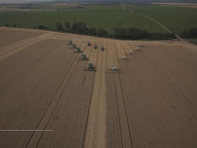 Аграрная отрасль переживает сегодня трудности Аграрная отрасль переживает сегодня трудности