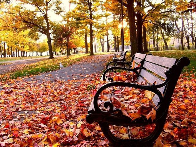 Сегодня Украина окажется между теплом и холодом, ожидаются дожди Сегодня Украина окажется между теплом и холодом, ожидаются дожди