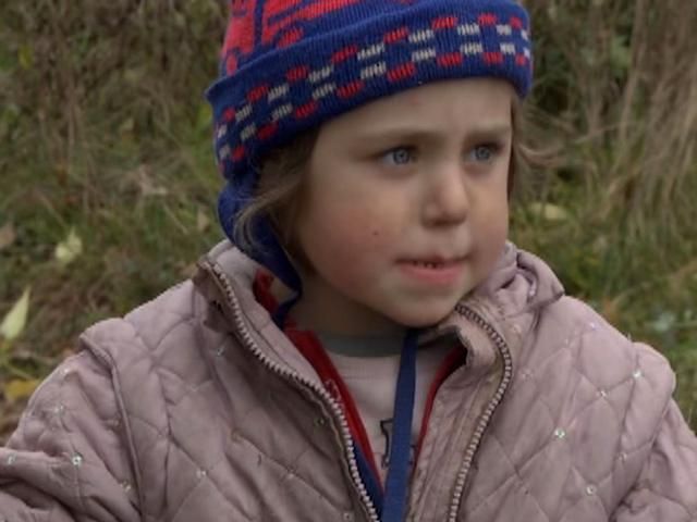 В Тернопольской области нашли девочку, которая потерялась в лесу В Тернопольской области нашли девочку, которая потерялась в лесу