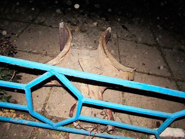 В Луганской области за ночь повалили двоих Лениных (Фото) В Луганской области за ночь повалили двоих Лениных (Фото)