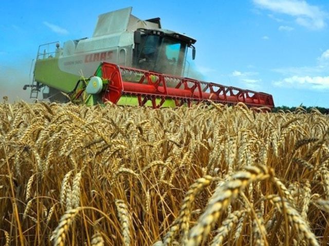 Кредитори агрохолдингу "Мрія" просять керівництво України розслідувати діяльність компанії