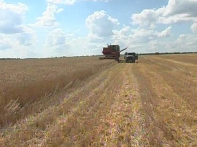 Вітчизняні банки активно кредитують агросектор Вітчизняні банки активно кредитують агросектор