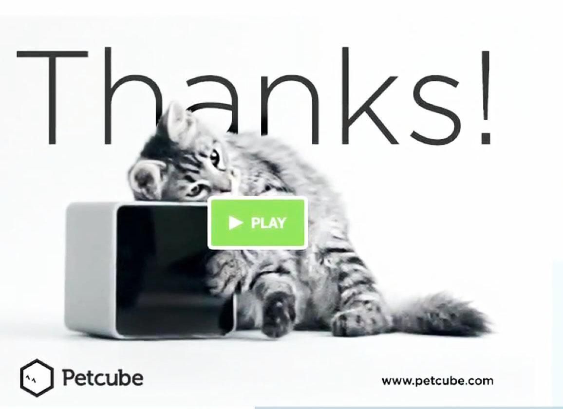 Сделано в Украине. Инновационная игрушка для домашних питомцев Сделано в Украине. Инновационная игрушка для домашних питомцев