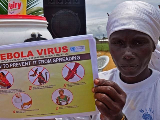 Вакцина от Эболы может появиться не раньше 2015 года