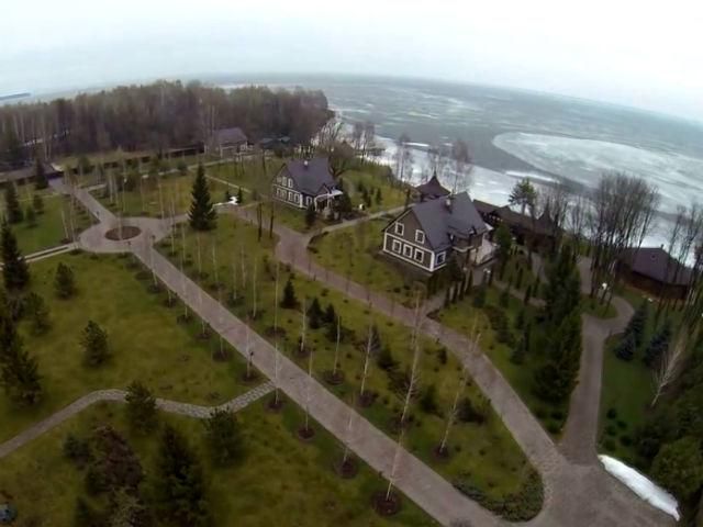 Украденный Януковичем лес вернули государству Украденный Януковичем лес вернули государству