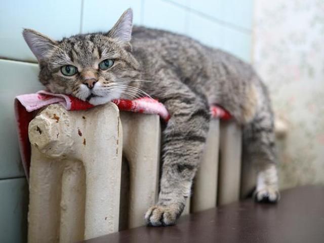 В Україні опалюється 97,85% житлових будинків В Україні опалюється 97,85% житлових будинків