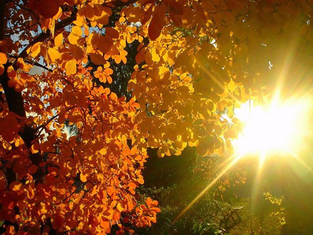 29 жовтня в Україні буде сонячно, але холодно 29 жовтня в Україні буде сонячно, але холодно