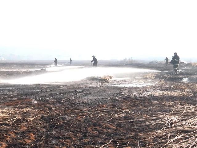 На околицях Києва кілька тижнів тліють торфовища (Відео) На околицях Києва кілька тижнів тліють торфовища (Відео)