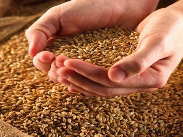 В Україні станом на 30 жовтня зібрано 55,2 млн тонн зерна, — Мінагропрод