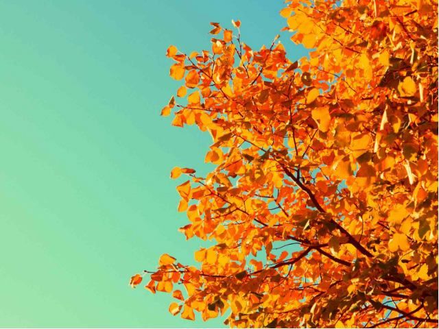 Погода на 31 октября: на юге ожидается штормовой ветер Погода на 31 октября: на юге ожидается штормовой ветер