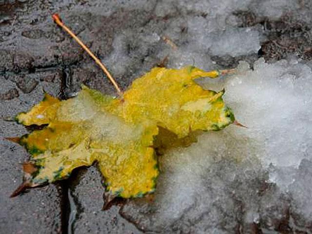 На выходных на востоке Украины выпадет мокрый снег На выходных на востоке Украины выпадет мокрый снег