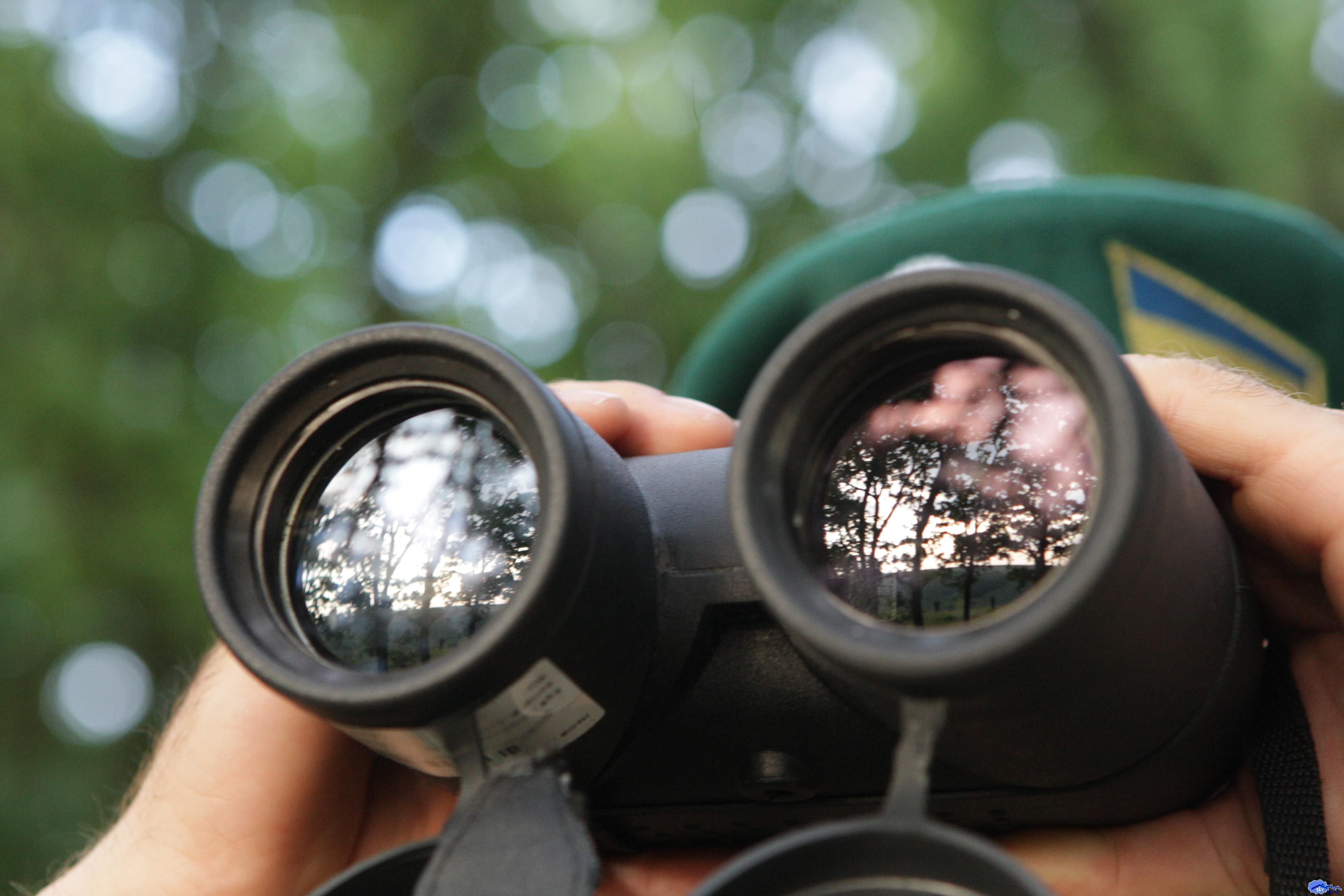 Взрыв в Луганской области: погиб пограничник