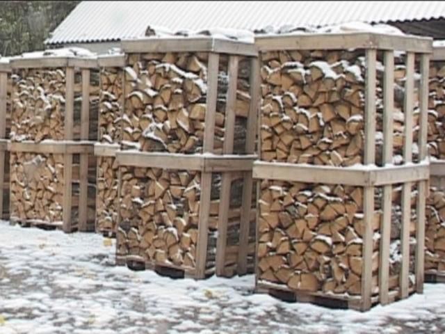 Тернопольская область этой зимой планирует греться дровами