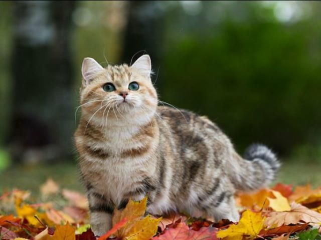 Сегодня в Украине сухо, температура до +13 Сегодня в Украине сухо, температура до +13