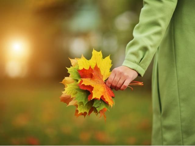 Сегодня в Украине начнется второе бабье лето Сегодня в Украине начнется второе бабье лето