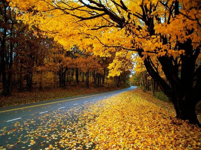 В Україну прийшло тривале потепління В Україну прийшло тривале потепління