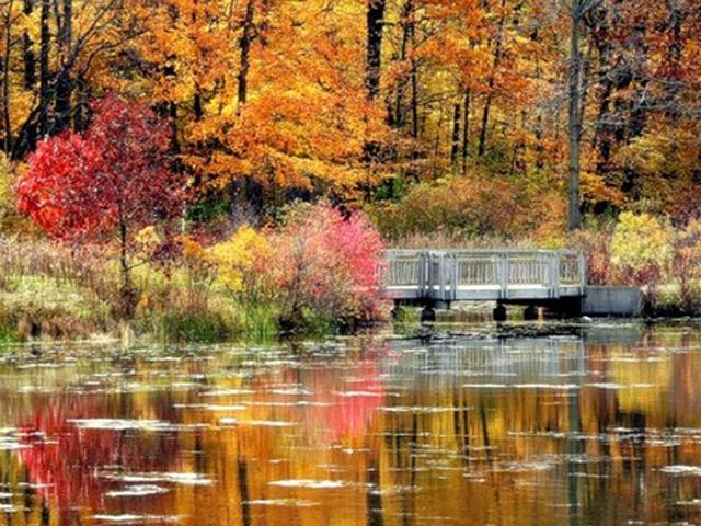 6 ноября морозы оставят Украину 6 ноября морозы оставят Украину