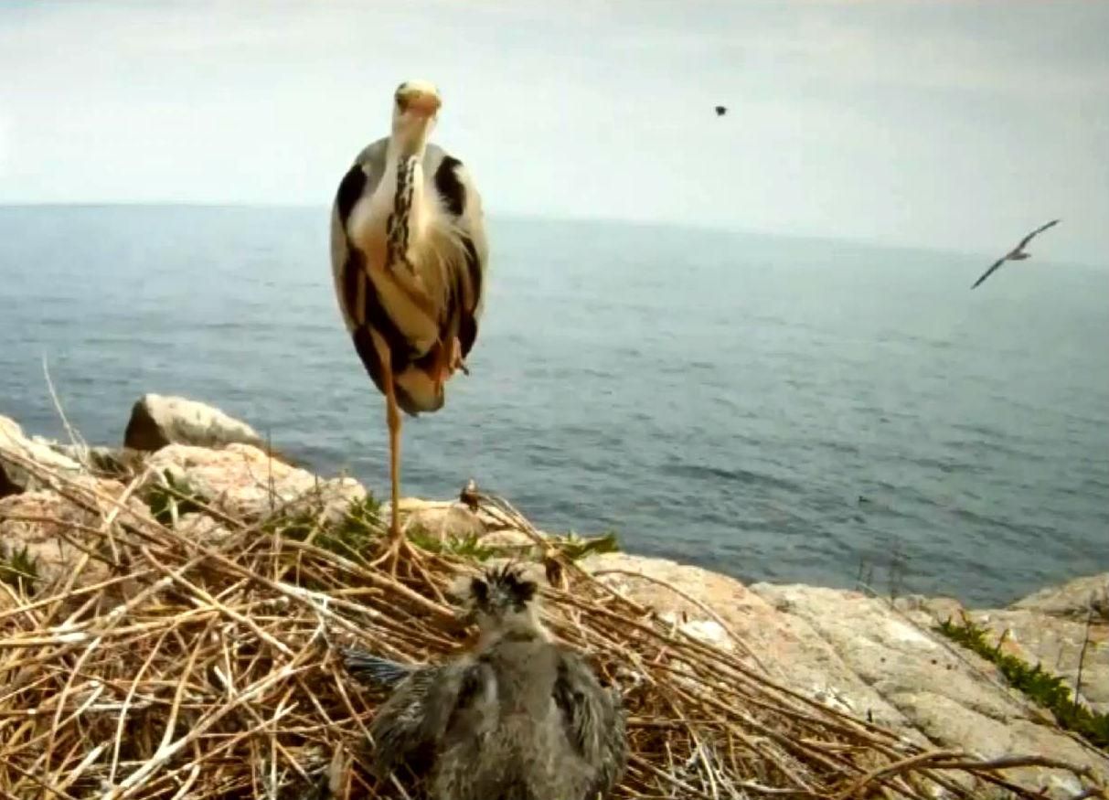 Путешествие по Украине. Каневский заповедник - уникальная природа и археологическая ценность Путешествие по Украине. Каневский заповедник - уникальная природа и археологическая ценность