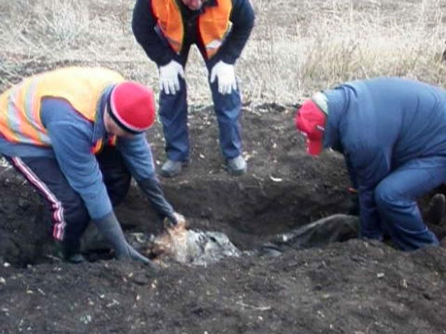 Волонтери в зоні АТО знайшли 150 тіл загиблих (Відео)