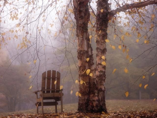 Сегодня в Украине облачно, но без существенных осадков Сегодня в Украине облачно, но без существенных осадков