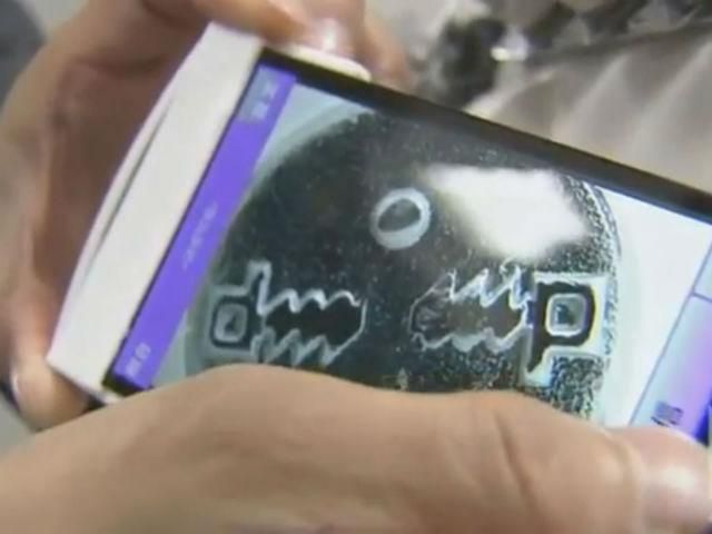 Смартфони і планшети зможуть виявляти підробні товари Смартфони і планшети зможуть виявляти підробні товари