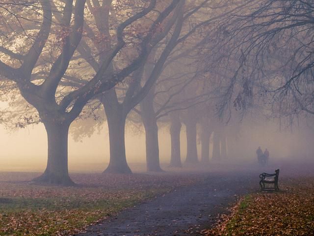 Сьогодні в Україні — тумани та мряка Сьогодні в Україні — тумани та мряка