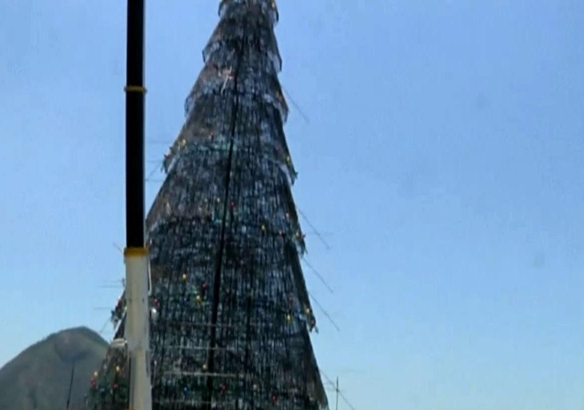 В Бразилії створили найбільшу ялинку в світі В Бразилії створили найбільшу ялинку в світі